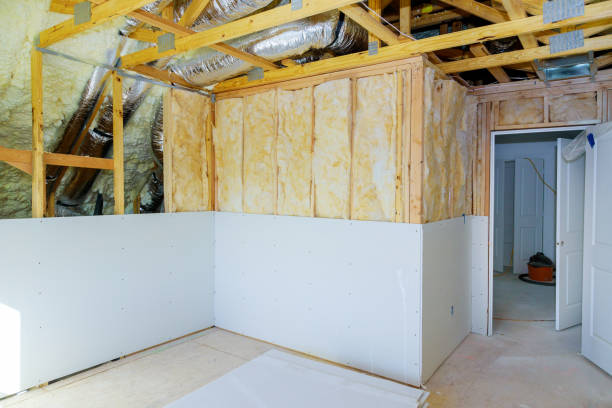 Best Insulation Repair Services  in Cross Lanes, WV