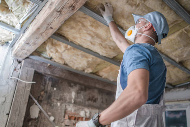 Best Insulation Replacement Services  in Cross Lanes, WV