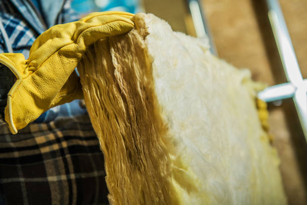 Best Energy-efficient Insulation  in Cross Lanes, WV