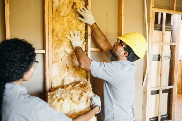 Best Insulation Inspection Services  in Cross Lanes, WV