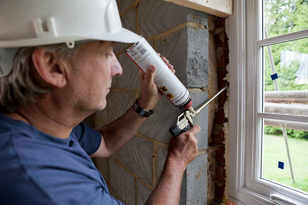 Best Insulation Contractors for Homes  in Cross Lanes, WV