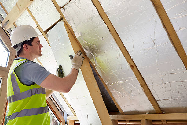 Best Insulation Inspection Services  in Cross Lanes, WV
