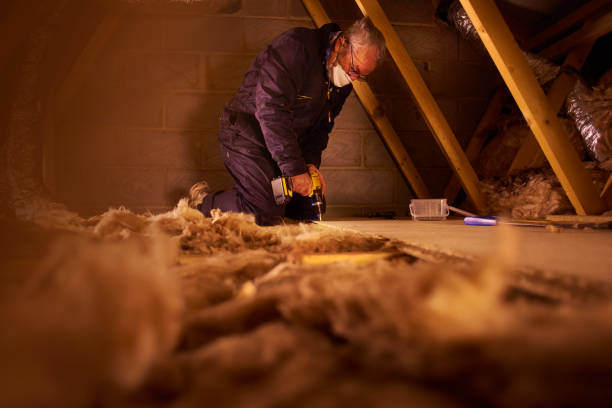 Best Affordable Insulation Services  in Cross Lanes, WV
